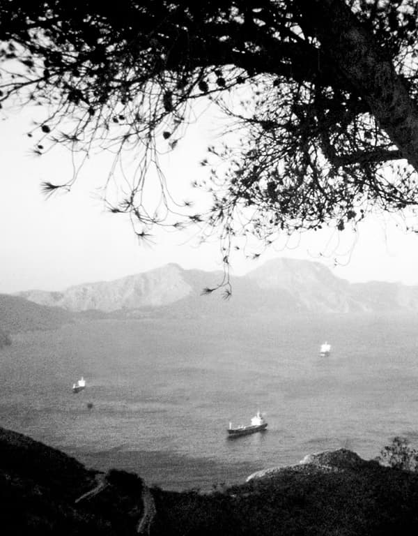 Film
